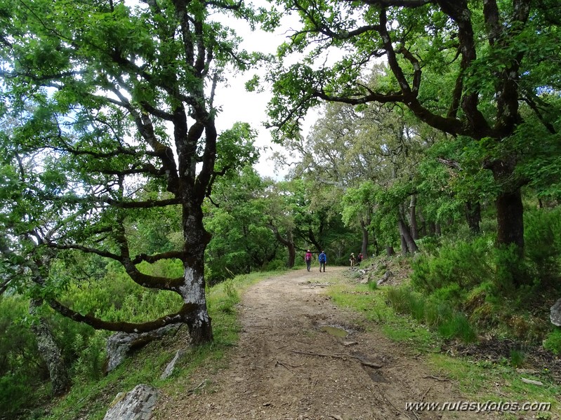 El Colmenar - Camino de los Arrieros - Puerto de los Peñones - Puerto de la Venta - Garganta de Los Charcones