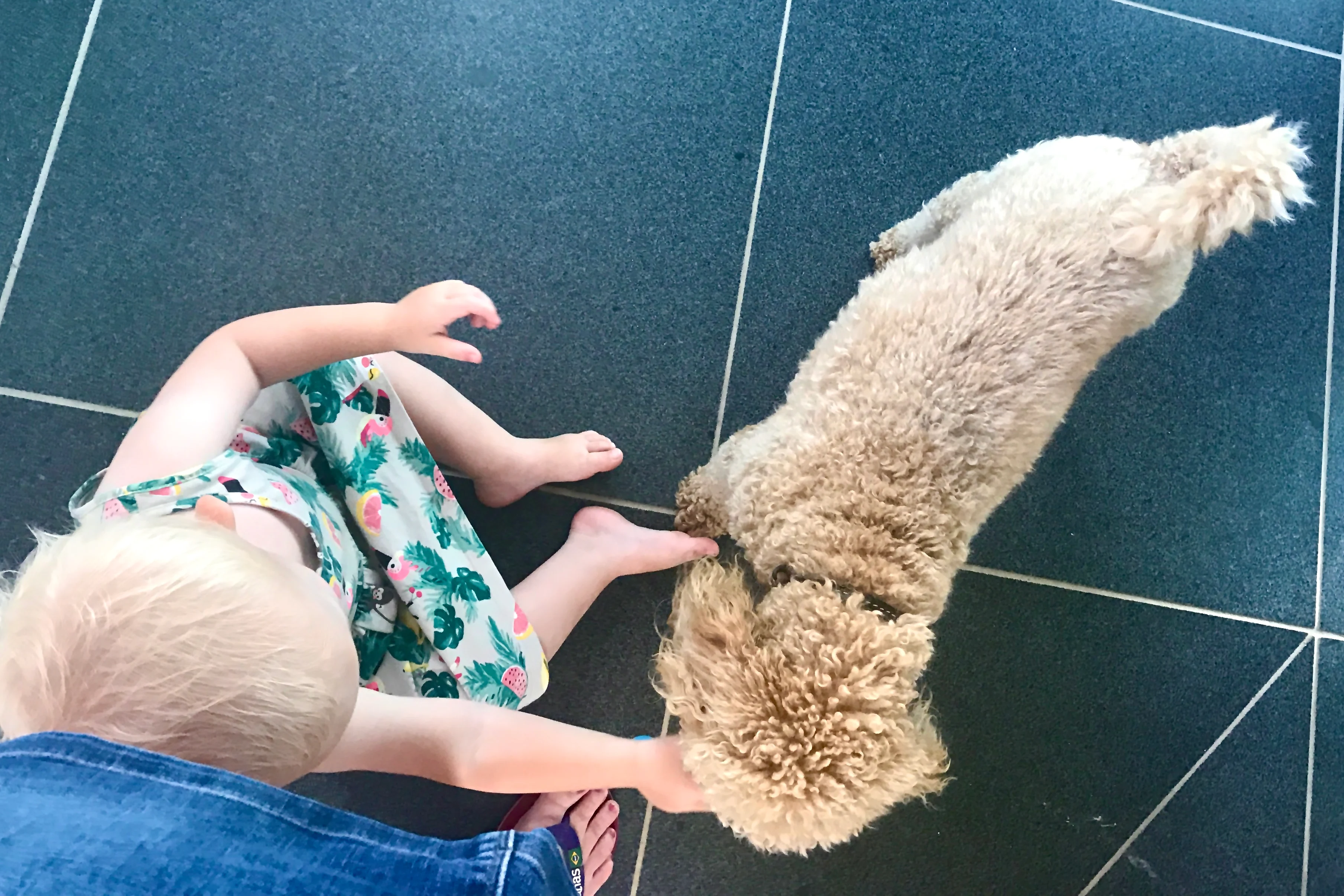 A young child playing with a new puppy on the floor