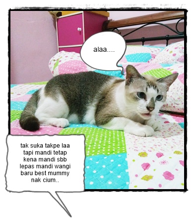 Meowwmania: Info Kucing Bersama KakakBaby Yang Cantik Jelita