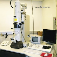 Mikroskop Elektron