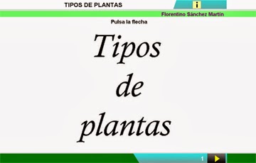 http://cplosangeles.juntaextremadura.net/web/edilim/curso_2/cmedio/plantas02/tipos_plantas02/tipos_plantas02.html