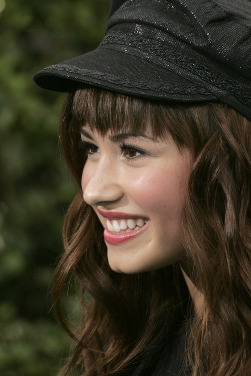 Em Janeiro de 2007 Demi actuou como Charlotte Adams na serie do Disney 