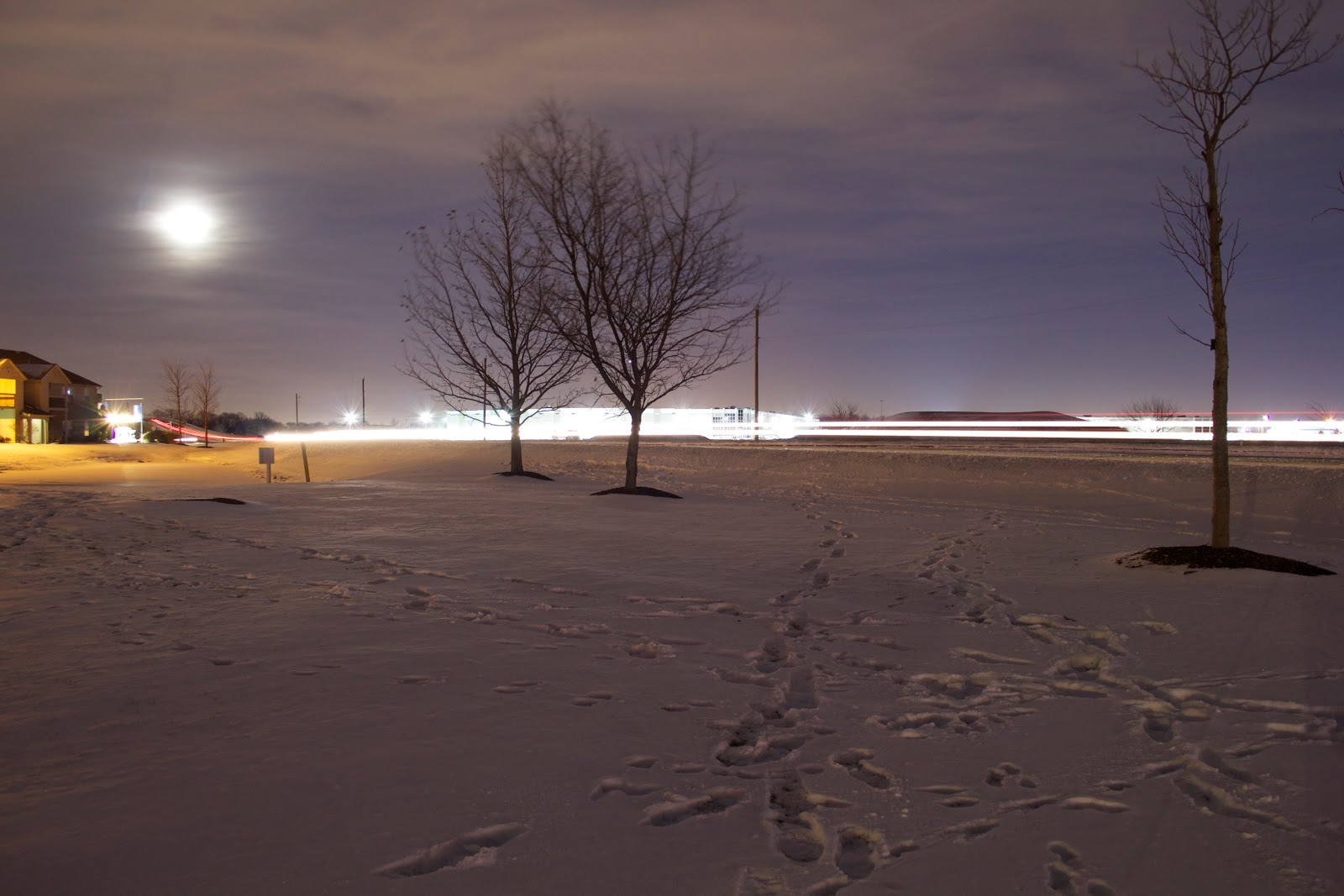 footprints in snow at night