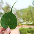 รูปภาพของฉัน