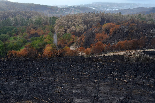 incendio del 15 de octubre en los montes de Vigo. días antes y días despues. lumes nunca máis
