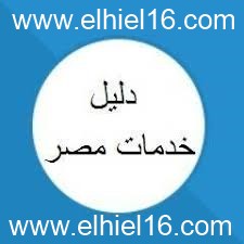 دليل الخدمات في مصر || تيسير سعيك في العثور على جميع الخدمات الحكومية أكثر من 500 خدمة تقريبأ بطاقة الرقم القومي شهادة الميلاد