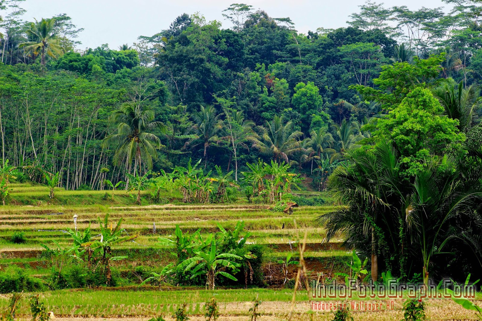  wallpaper pemandangan alam terindah di indonesia 