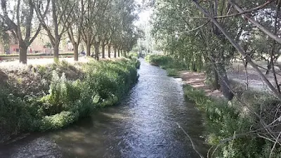 El río Jiloca a su paso por Burbáguena (Teruel)