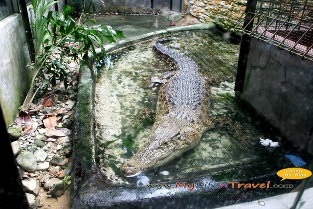 Langkawi Wildlife Park