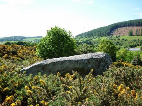 Kilternan The Final Straw
