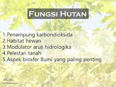 fungsi hutan