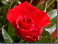 clip_image015