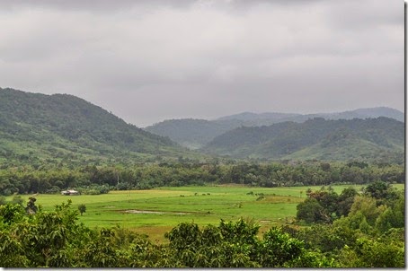 Resize of DSC_0017