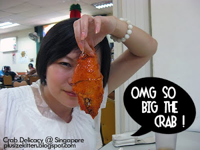 Crocodile Attack Singapore Picture on Plus Size Kitten  Singapore Day 2   Attack Of The Giant Crab