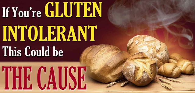 We're Not Gluten Intolerant, We're Glyphosate Intolerant