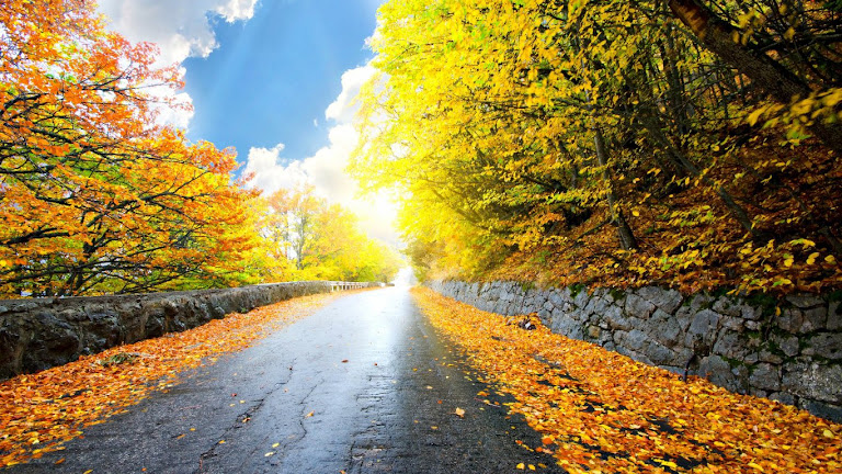 Road HD Wallpaper 4