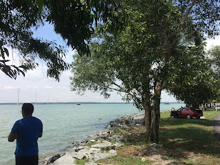 Taman Buaya Teluk Sengat Merupakan Taman Terbesar Buaya di Semenanjung Malaysia