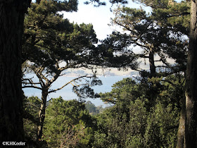 Tomales Bay, California