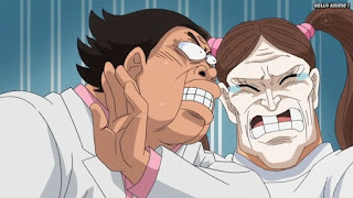 ワンピースアニメ ドレスローザ編 703話 | ONE PIECE Episode 703