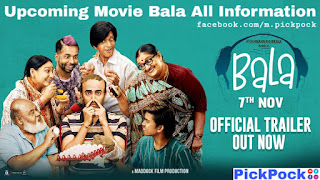 How can download Bala movie, Bala Movie, Bala Flim Trailer, Information, Ayushmann Khurrana, PickPock