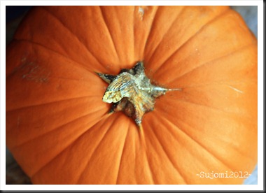 2012 10 15 IMG_7171w