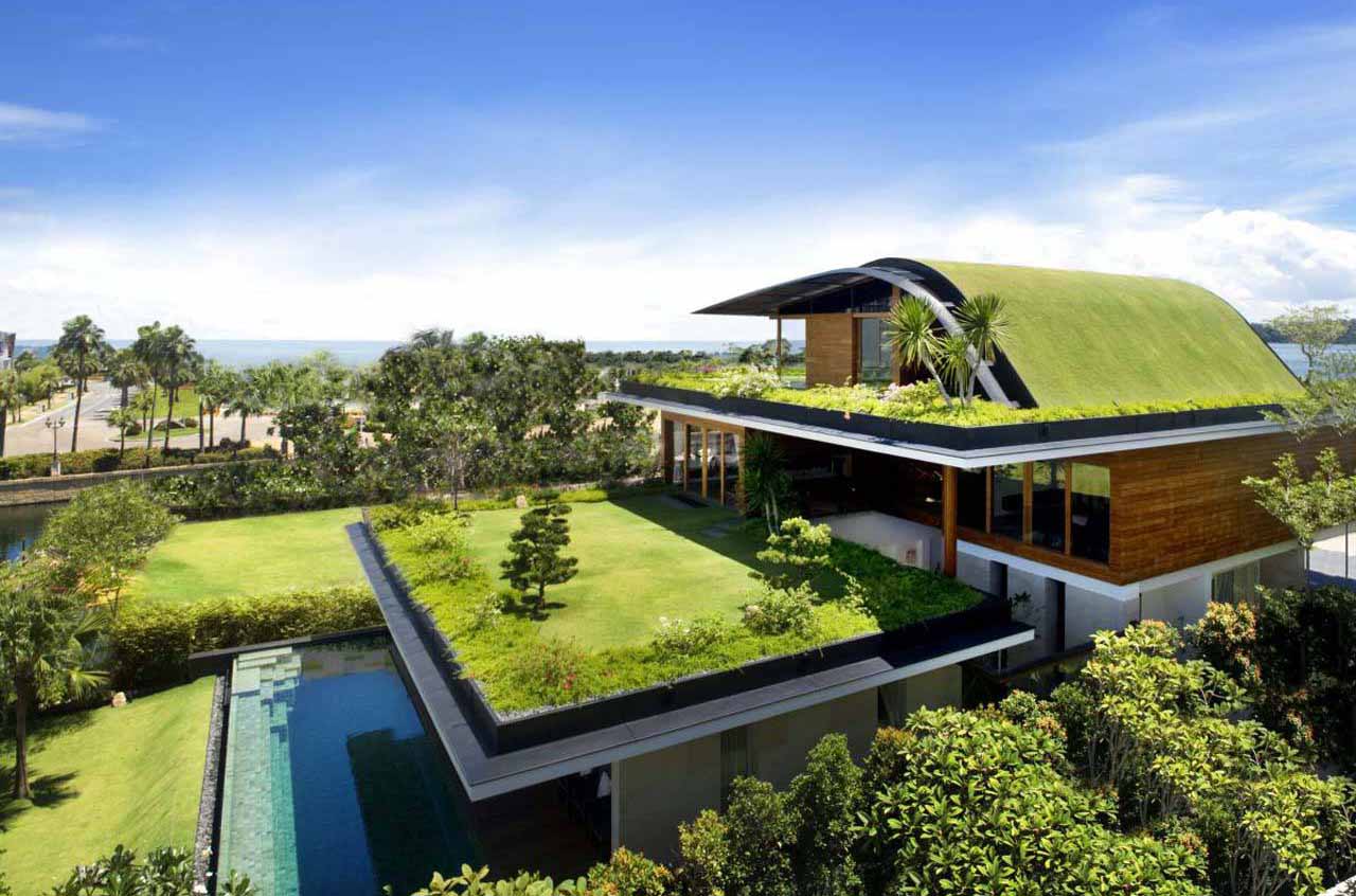 Desain Taman Atap Rumah Kumpulan Desain Rumah