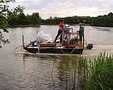 Foto Hotspot Ondiepe wateren en veenweidegebieden. Bron: http://www.kennisvoorklimaat.nl/hotspots/ondiepe-wateren-veenweidegebieden