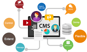 how to cms web design