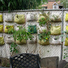 Landscape Design for Backyard Privacy