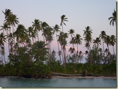 P1000841