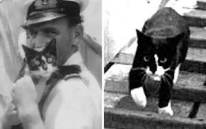 Sam El Gato Insumergible: Su verdadera historia en la Segunda Guerra Mundial