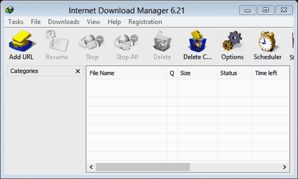 IDM 6.21 interface