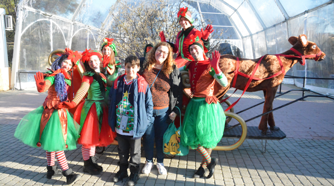 Explorando "El Manantial de los Sueños" en Navidad: Un Encuentro Mágico en el Jardín Botánico de la Universidad Complutense de Madrid