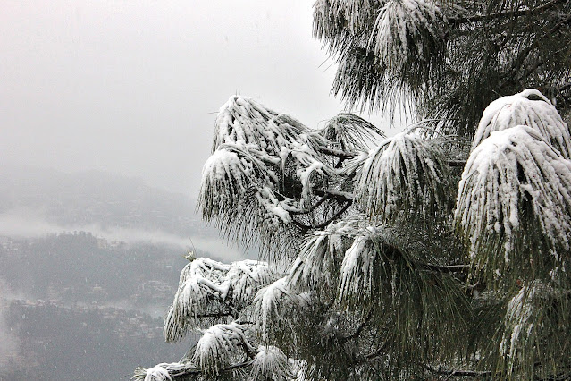Best Time To Visit Shimla | Shimla weather | Shimla Temperature