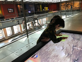 Los Angeles Museum of Natural History digital table game