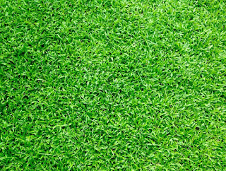 Artificial Grass Manufacturers in India