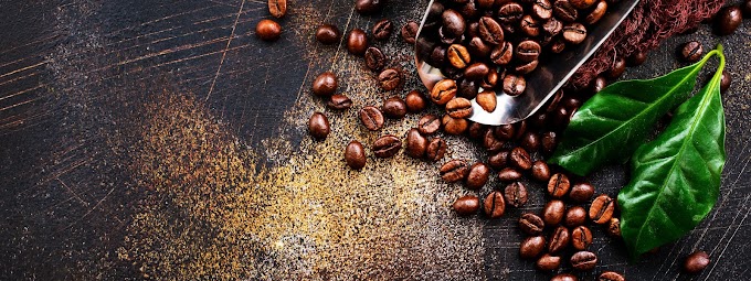 Buying Best Coffee Beans Online: What to Look for