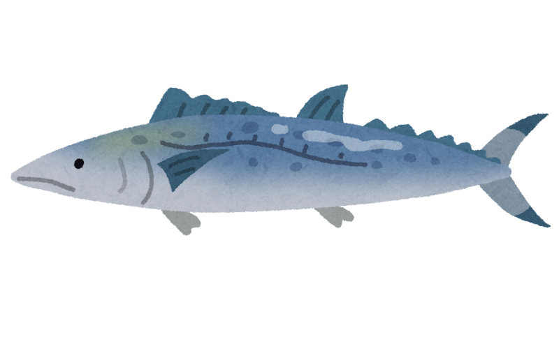 サワラのイラスト 魚 かわいいフリー素材集 いらすとや サワラのイラスト 魚 かわいいフリー素材集 いらすとや
