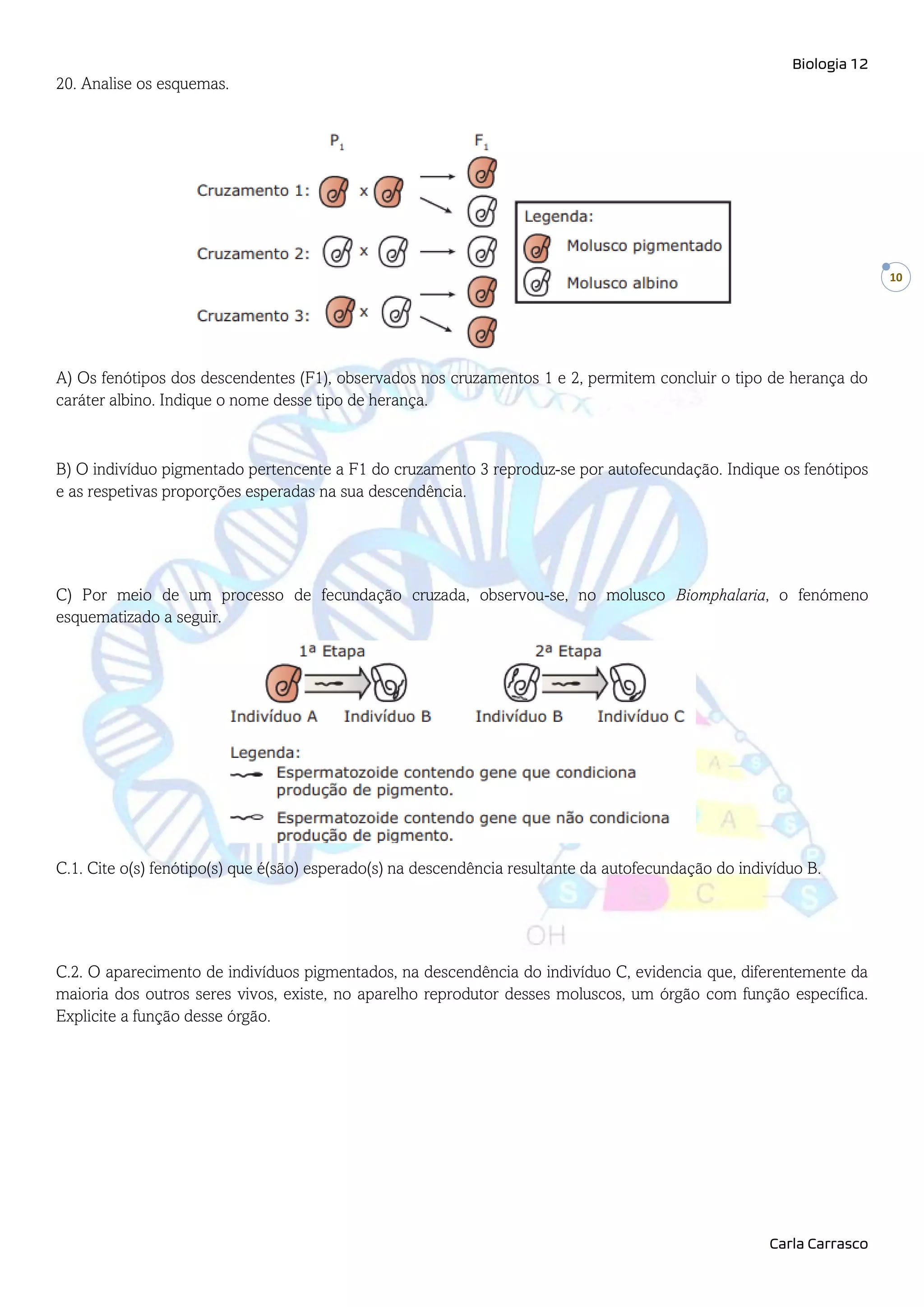 Exercícios Primeira Lei de Mendel