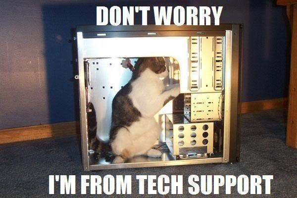 Kitty - Don't Worry I'm From Tech Support