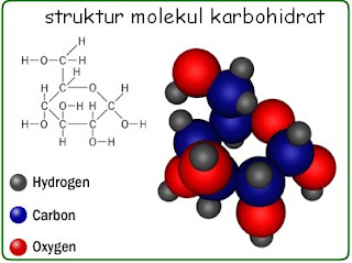 Catatan Prestasi Guru Biologi Pertumbuhan Dan  Review Ebooks