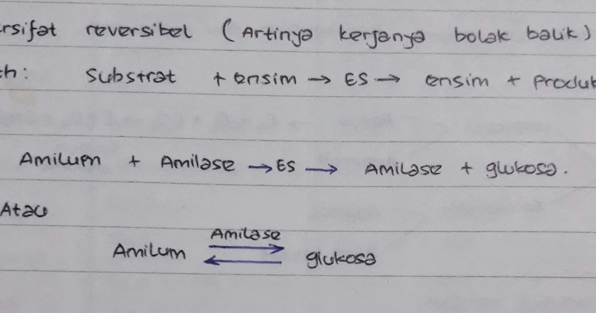 Jelaskan Bahwa Enzim Dapat Bekerja Bolak Balik Reversible