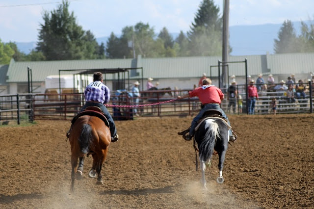 The home stretch - but don't stretch too far!  Sheridan Elk's Youth Rodeo