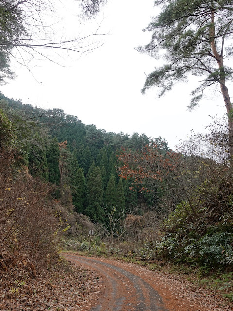 赤松池の脇道を降ります