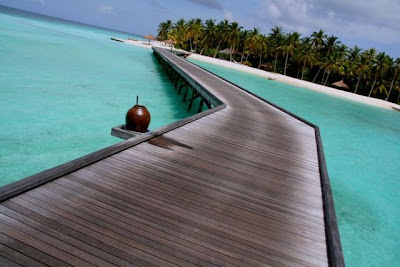 Maldives : The Dream Paradise