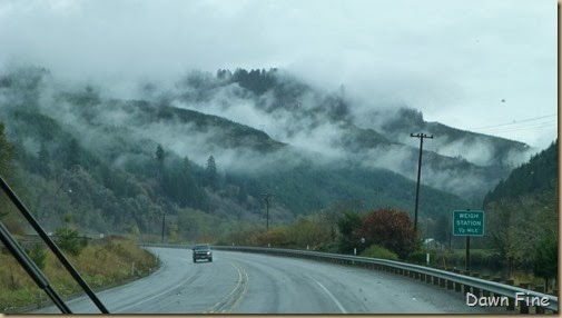 mushrooms-and-drive-to-eugene_075_th