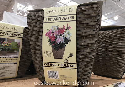 Add some curb appeal to your home with the Complete Bulb Kit Container