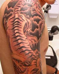 Japanese tiger tattoo art for male