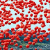 Mil globos rojos