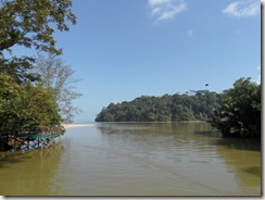 SAM_0411